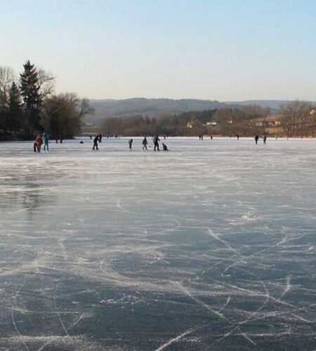 How do fish survive when ponds and lakes freeze?