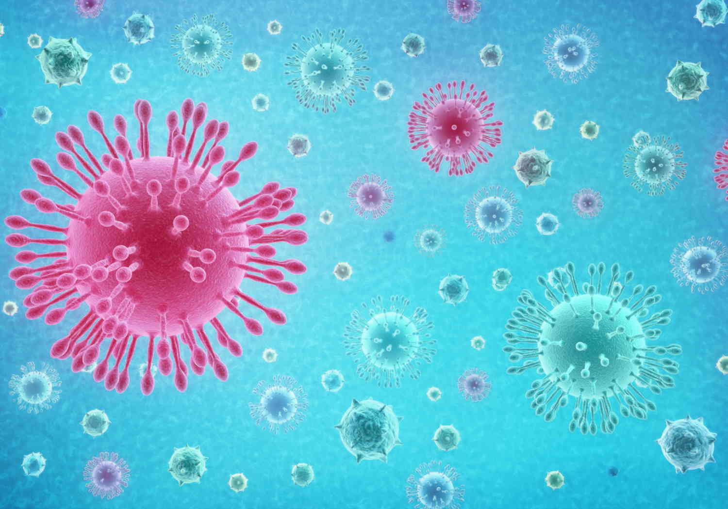 Why is it called the Coronavirus?